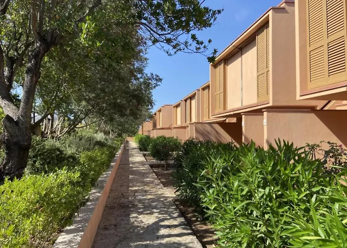 In Di Arzachena, Sardinia カンニジョネ